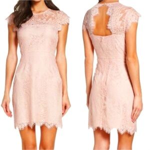 BB Dakota Pink Lace Cocktail Dress Size 2